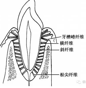 QQ圖片20160825170418.png