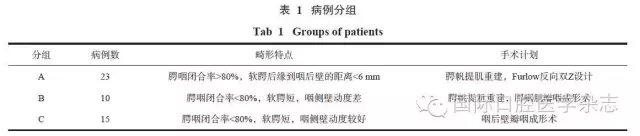 腭咽閉合不全的個(gè)體化治療策略