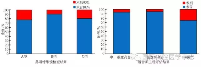 腭咽閉合不全的個(gè)體化治療策略