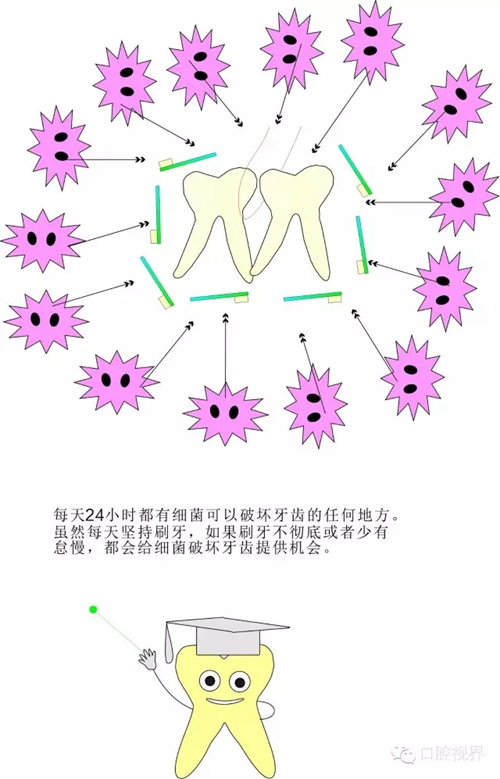 愛牙科普知識