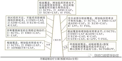 2016口腔醫(yī)師資格考試-口組-牙周膜