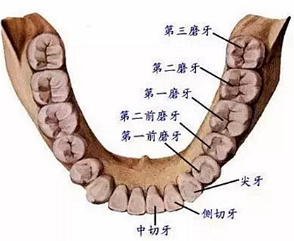 【科普】牙齒根管治療大全