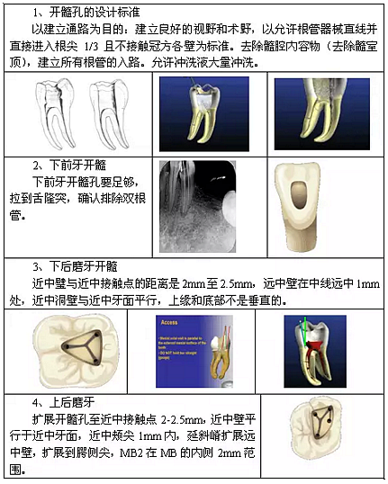 知識分享：根管治療的標(biāo)準(zhǔn)步驟