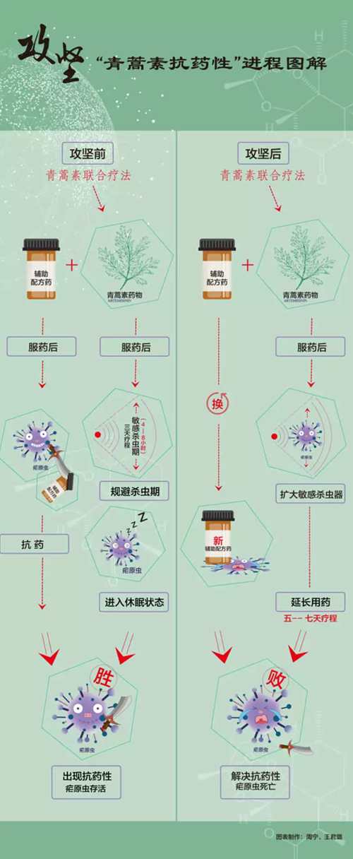 屠呦呦團(tuán)隊(duì)新突破！