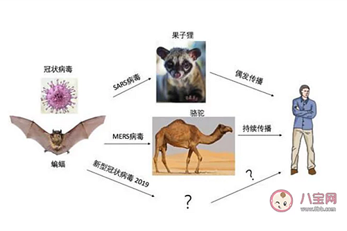 新型冠狀病毒感染了一定會(huì)發(fā)熱嗎？新型冠狀病毒前期的癥狀有哪些？