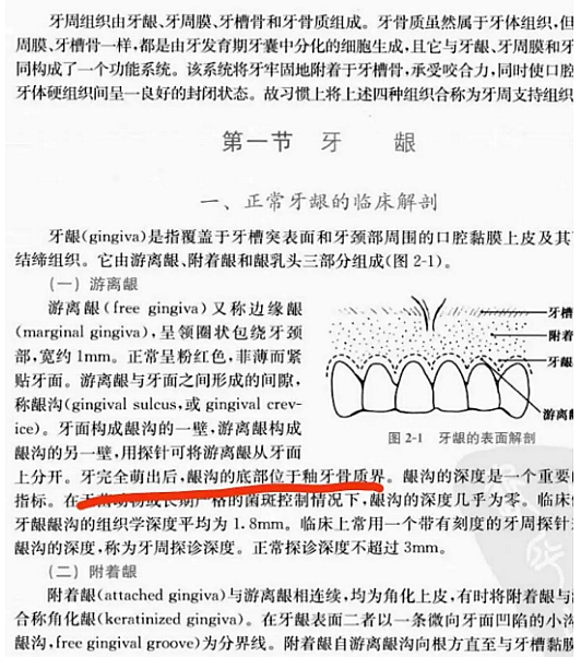 牙周解剖（一）：角化齦和附著齦爭議總結(jié)