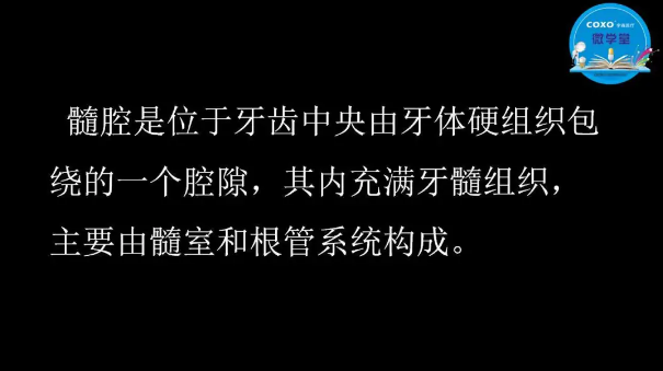 （第二十五期）微學堂回顧