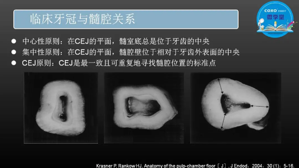 （第二十五期）微學堂回顧