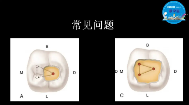 （第二十五期）微學堂回顧