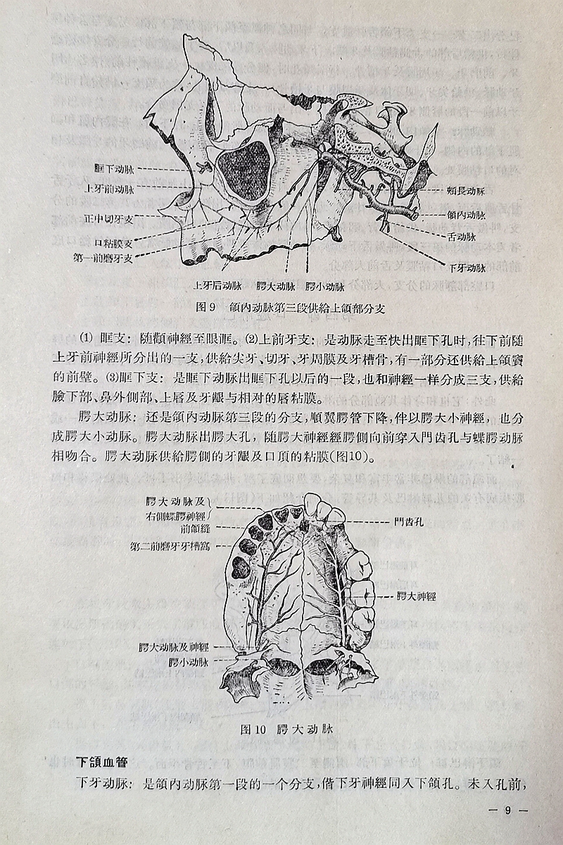 《實(shí)用拔牙學(xué)》一級教授陳華主編